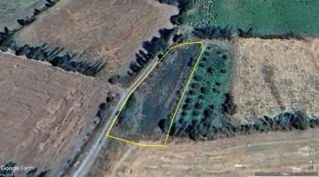 GÜVENAY - ÇORUM ŞEKER FABRİKASI ARKASI BOĞABAĞI 818 M² ACİL SATILIK TARLA