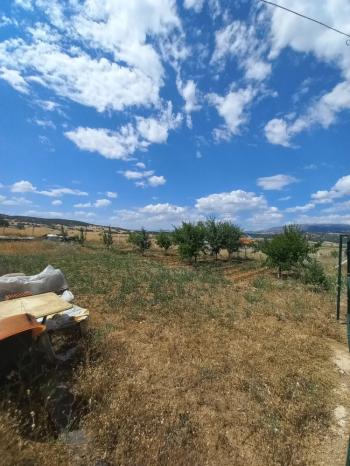 GÜVENAY - ÇORUM SEYDİM GÖLETİ İLERİSİ SATILIK BAHÇE