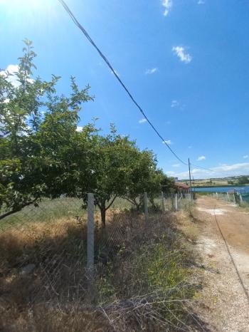 GÜVENAY - ÇORUM SEYDİM GÖLETİ İLERİSİ SATILIK BAHÇE