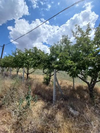 GÜVENAY - ÇORUM SEYDİM GÖLETİ İLERİSİ SATILIK BAHÇE