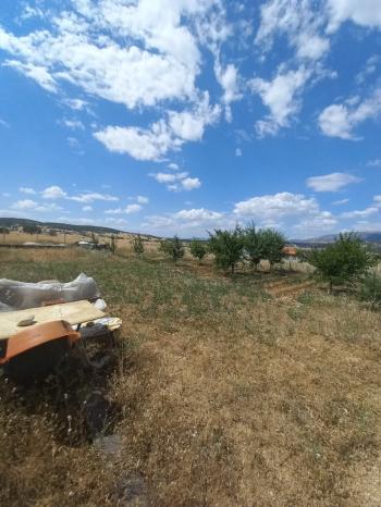 GÜVENAY - ÇORUM SEYDİM GÖLETİ İLERİSİ SATILIK BAHÇE