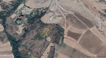 ACİL SATILIK ÇORUMA 12 KM UZAKLIKTA SOĞUKSU KÖYÜNDE 1,551 M² BAĞ