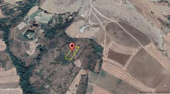 ACİL SATILIK ÇORUMA 12 KM UZAKLIKTA SOĞUKSU KÖYÜNDE 1,551 M² BAĞ