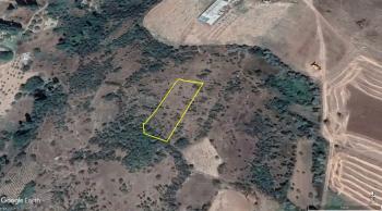 ACİL SATILIK ÇORUMA 12 KM UZAKLIKTA SOĞUKSU KÖYÜNDE 1,551 M² BAĞ