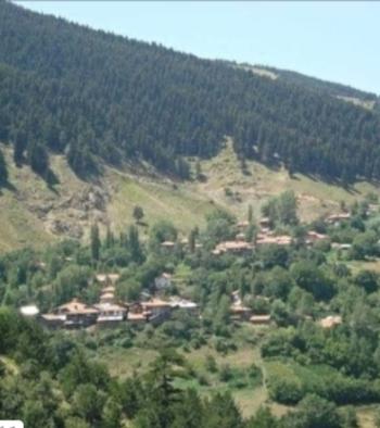 ÇORUM / İSKİLİP / AKPINAR KÖYÜ ACİLL SATILIK 1 DÖNÜM BAHÇE