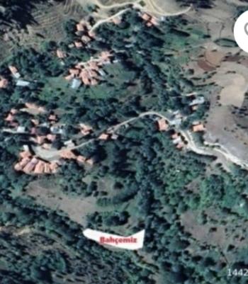 ÇORUM / İSKİLİP / AKPINAR KÖYÜ ACİLL SATILIK 1 DÖNÜM BAHÇE