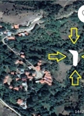 ÇORUM / İSKİLİP / AKPINAR KÖYÜ ACİLL SATILIK 1 DÖNÜM BAHÇE