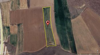 GÜVENAY - ÇORUM CEMİLBEY YOLU DALGIÇLAR ÇİFTLİK İLERİSİ 11,910 M² TARLA