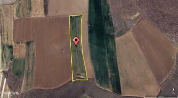 GÜVENAY - ÇORUM CEMİLBEY YOLU DALGIÇLAR ÇİFTLİK İLERİSİ 11,910 M² TARLA