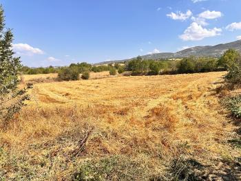 GÜVENAY - ÇORUM BOĞABAGI KÖYÜNDE 381 M² BAĞ