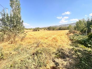 GÜVENAY - ÇORUM BOĞABAGI KÖYÜNDE 381 M² BAĞ