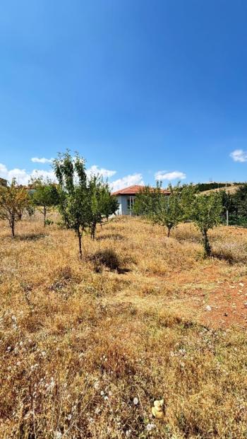 Güvenay - Çorum Bahçelievler Yukarısı Pancarlık Mevkii Satılık Bahçe 