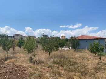 Güvenay - Çorum Bahçelievler Yukarısı Pancarlık Mevkii Satılık Bahçe 