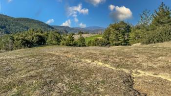 Menteşe Dokuzçam Doğa İçinde Müstakil Parsel 6.338 m2 Tarla
