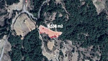 Menteşe Dokuzçam Doğa İçinde Müstakil Parsel 6.338 m2 Tarla