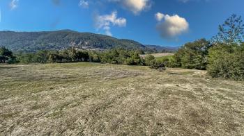 Menteşe Dokuzçam Doğa İçinde Müstakil Parsel 6.338 m2 Tarla