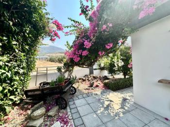 Girne Alsancak'ta 4+1, Modern Tasarım, Geniş Bahçeli Satılık Villa