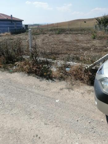 Güvenay - Çorum Cemilbey Yolu Kayı - Kıvırcık Yol Ayrımı Ana Yolda Bahçe