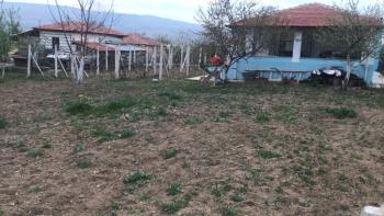 GÜVENAY - ÇORUM PAŞA BAĞLARI PAŞA KÖY ÜSTÜ 1 DÖNÜM EVİ OLAN BAĞ