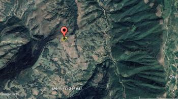 SAMSUN ALAÇAM DEMİRCİDERESİ 5,960 M² DENİZ MANZARALI TARLA