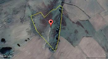 SAMSUN ALAÇAM DEMİRCİDERESİ 5,960 M² DENİZ MANZARALI TARLA