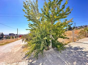 GÜVENAY – ÇORUM BİNEVLER MEVKİİ – ÇOK ACİL SATILIK 250 M² VİLLA ARSASI