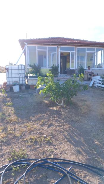 GÜVENAY - ÇORUM OSMANCIK YOLU SOĞUKSU KÖYÜ EVLİ BAHÇE