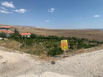 Güvenay -Çorum Ortaköy  Ana Yol Üzerinde Satılık Hobi Bahçesi