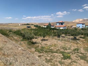 Güvenay -Çorum Ortaköy  Ana Yol Üzerinde Satılık Hobi Bahçesi