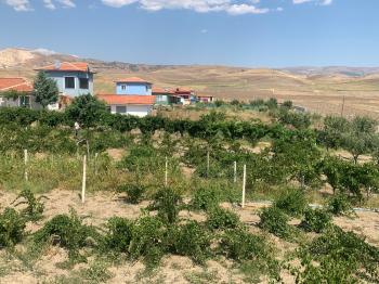 Güvenay -Çorum Ortaköy  Ana Yol Üzerinde Satılık Hobi Bahçesi