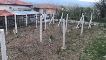 Güvenay -Çorum Ortaköy  Ana Yol Üzerinde Satılık Hobi Bahçesi