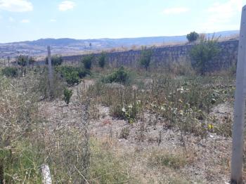 Güvenay -Çorum Ortaköy  Ana Yol Üzerinde Satılık Hobi Bahçesi