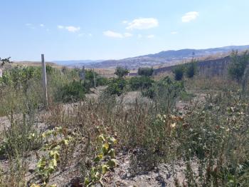 Güvenay -Çorum Ortaköy  Ana Yol Üzerinde Satılık Hobi Bahçesi