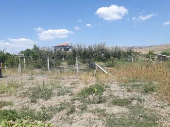 Güvenay -Çorum Ortaköy  Ana Yol Üzerinde Satılık Hobi Bahçesi