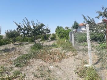 Güvenay -Çorum Ortaköy  Ana Yol Üzerinde Satılık Hobi Bahçesi