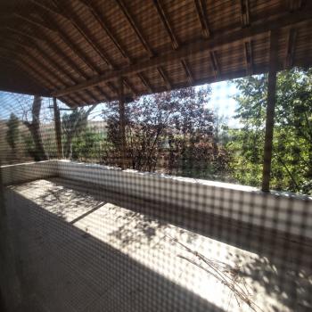 GÜVENAY - ÇORUM CEMİLBEY YOLU YAYDİĞİN TARAFI 1,842 M² BAĞ EVİ