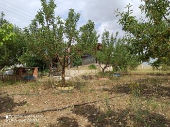 ACİL SATILIK ÇORUM HAMAMLIÇAY KÖY 850 M² EVİ OLAN SATILIK BAHÇE