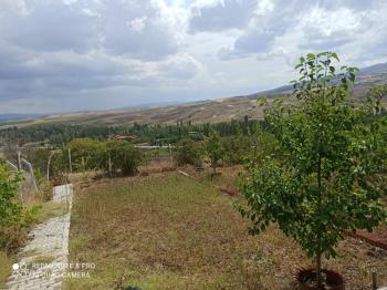 ACİL SATILIK ÇORUM HAMAMLIÇAY KÖY 850 M² EVİ OLAN SATILIK BAHÇE