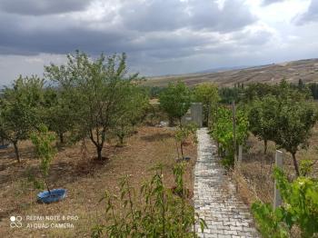 ACİL SATILIK ÇORUM HAMAMLIÇAY KÖY 850 M² EVİ OLAN SATILIK BAHÇE