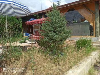 ACİL SATILIK ÇORUM HAMAMLIÇAY KÖY 850 M² EVİ OLAN SATILIK BAHÇE