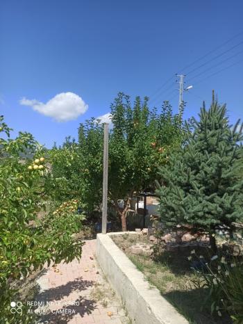 ACİL SATILIK ÇORUM HAMAMLIÇAY KÖY 850 M² EVİ OLAN SATILIK BAHÇE