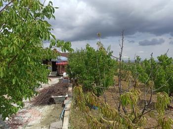 ACİL SATILIK ÇORUM HAMAMLIÇAY KÖY 850 M² EVİ OLAN SATILIK BAHÇE