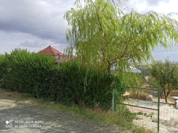 ACİL SATILIK ÇORUM HAMAMLIÇAY KÖY 850 M² EVİ OLAN SATILIK BAHÇE