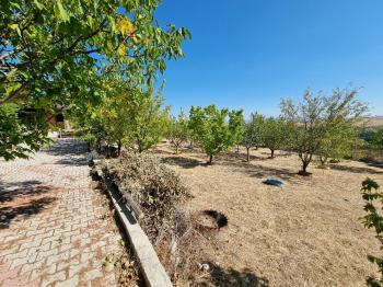 ACİL SATILIK ÇORUM HAMAMLIÇAY KÖY 850 M² EVİ OLAN SATILIK BAHÇE