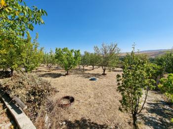 ACİL SATILIK ÇORUM HAMAMLIÇAY KÖY 850 M² EVİ OLAN SATILIK BAHÇE