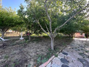 GÜVENAY - ÇORUM ŞEKER FABR. ARKASI BURUN KÖY MEVKİDE SATILIK BAĞ