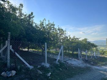 GÜVENAY - ÇORUM ŞEKER FABR. ARKASI BURUN KÖY MEVKİDE SATILIK BAĞ