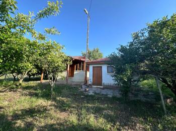 GÜVENAY - ÇORUM ŞEKER FABR. ARKASI BURUN KÖY MEVKİDE SATILIK BAĞ