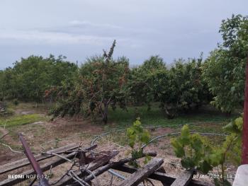 Güvenay - Çorum  Eski İskilip Yolu Üzeri Halk Et İlerisi Evi Olan Satılık Bahçe