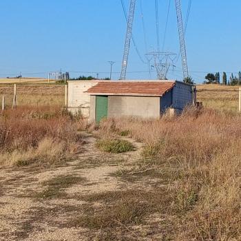 GÜVENAY - ÇORUM TED KOLEJİ İLERİSİ BÜĞET KÖYÜ CİVARI HOBİ BAHÇESİ